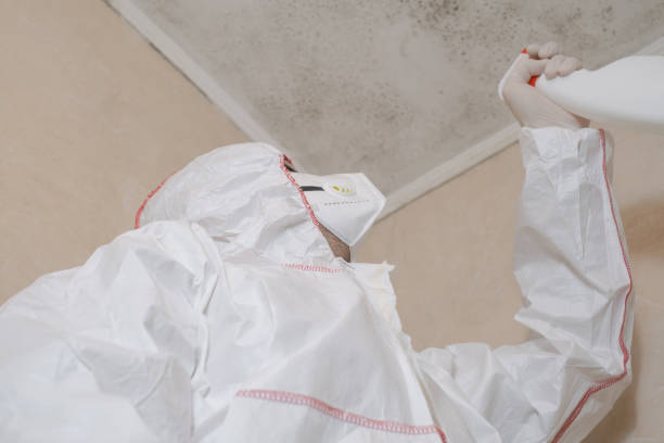 Best Mold Removal Near Me  in Bolivar Peninsula, TX