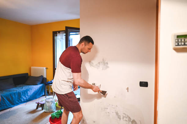 Home Mold Removal in Bolivar Peninsula, TX