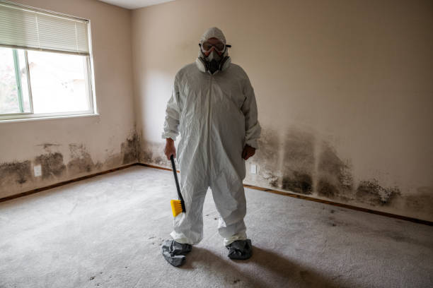 Best Residential Mold Removal  in Bolivar Peninsula, TX